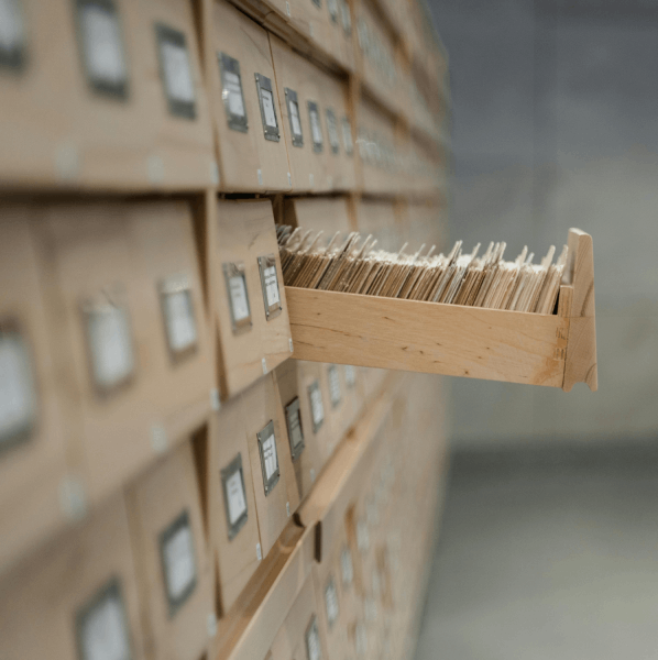 Open drawer in a file cabinet of small drawers filled with index cards